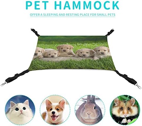 KECIO 4 PACK סירי סחלבים עם חורים וצלוחיות, 7 אינץ 'סירי סחלבים פלסטיים ברורים לרישום מחדש, סיר פרחים