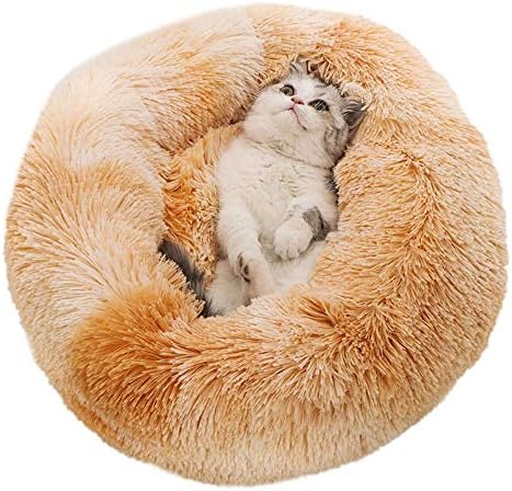 חתול מחמד המלטת חתול וכלב מלונה מחצלת מחצלת חתול מיטת הוא רך ונוח קטיפה מיטות גדול וקטן כלב קטיפה עבה ריפוד עגול