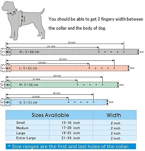צווארון כלבים משובץ פימאודוג, צווארון כלבים ממוסמר בגודל 2 אינץ