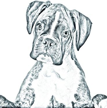 בוקסר, מצבה סגלגלה מאריחי קרמיקה עם תמונה של כלב