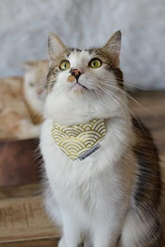 צווארון חתול נקויצ ' י בנדנה עם כיס תג אוויר